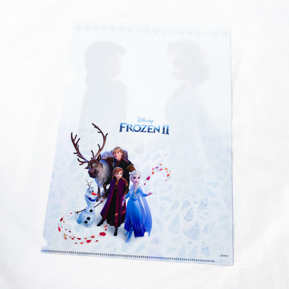 Frozen II - Anna, Elsa, Kristoff, Sven & Olaf Clear File Folder – MadHouse  Collectibles