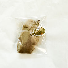 Cat's Day Secret Strap - Berlioz Tail Keychain Strap