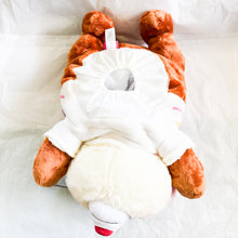 HKDL - Pom Pom Series - Dale Tissue Box Holder Plush