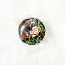 Kingdom Hearts Glass Magnet - Roxas and Ventus
