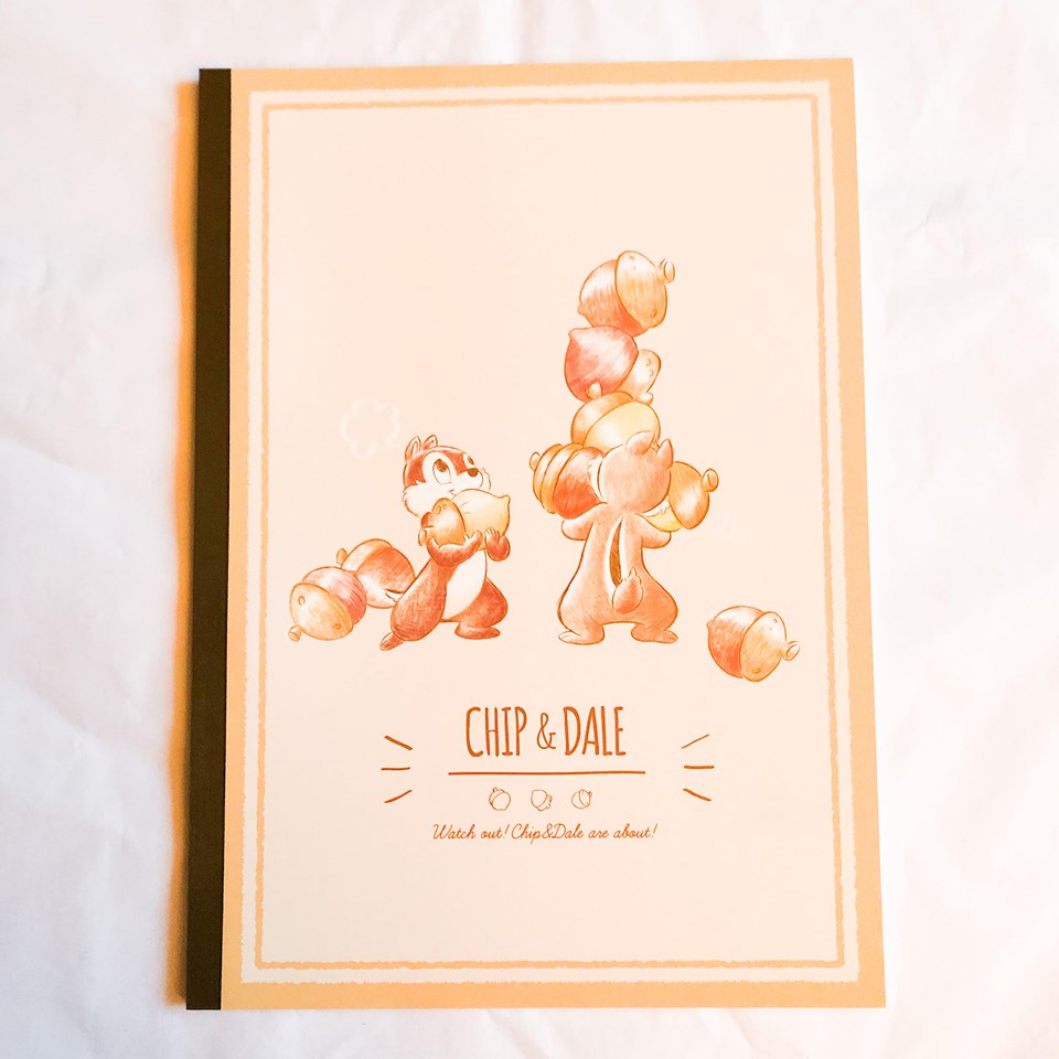 Chip And Dale B5 Notebook